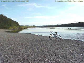 In the wilderness of Teshio River