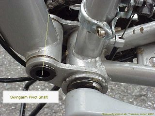 Swingarm Pivot